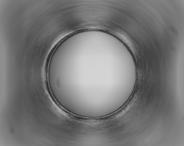 X0000112821141200908210955