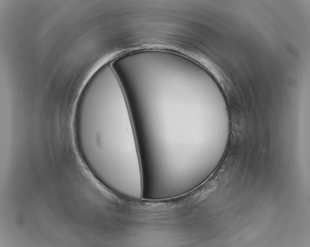 X0000112821142200908210955