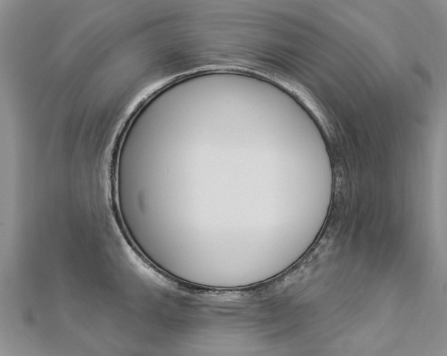 X0000112821143200908210955
