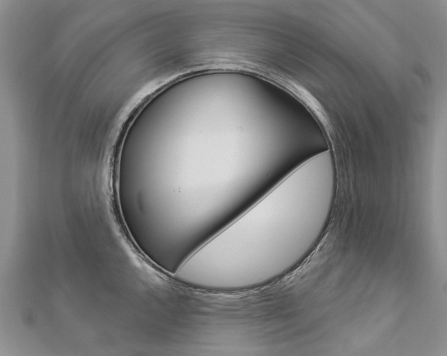 X0000112821144200908210955