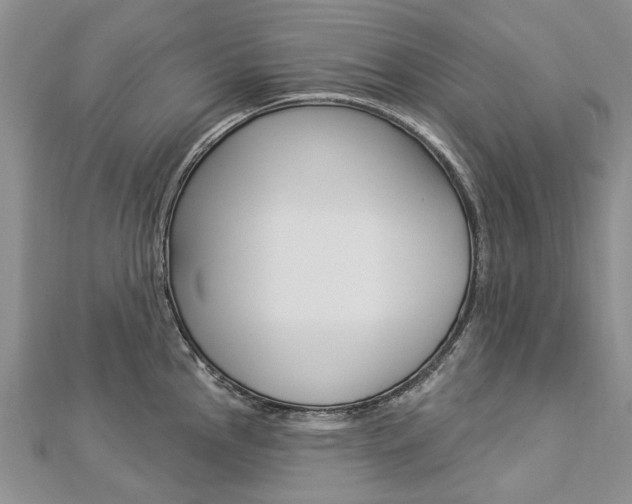 X0000112821145200908210955