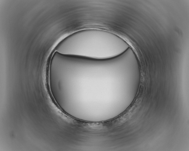 X0000112821147200908210955