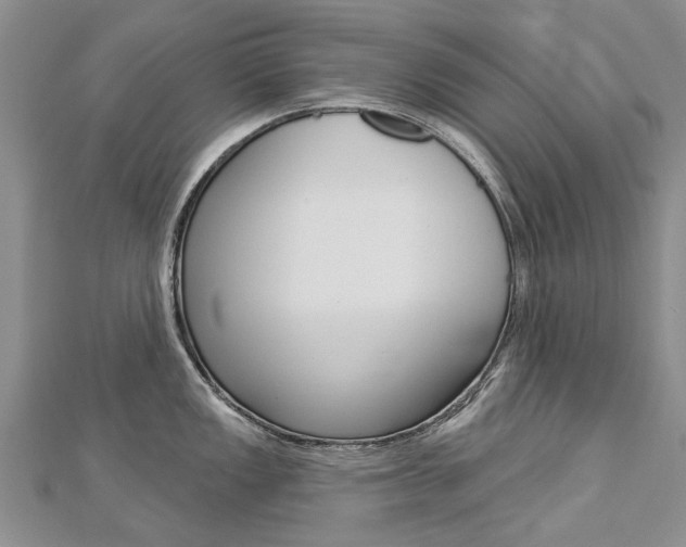X0000112821149200908210955