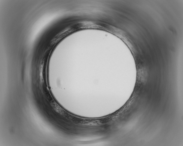 X0000112821150200908210955