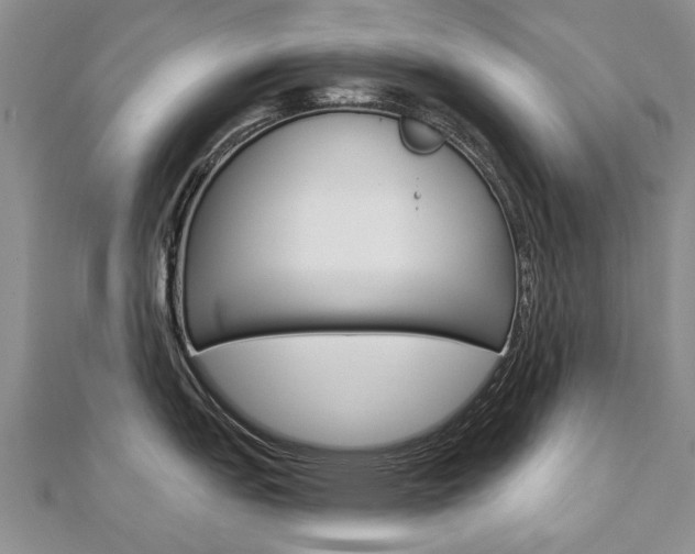 X0000112821151200908210955