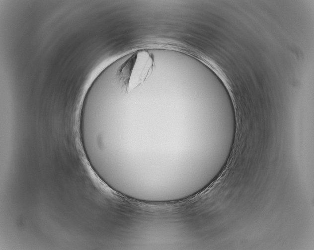 X0000112821152200908210955