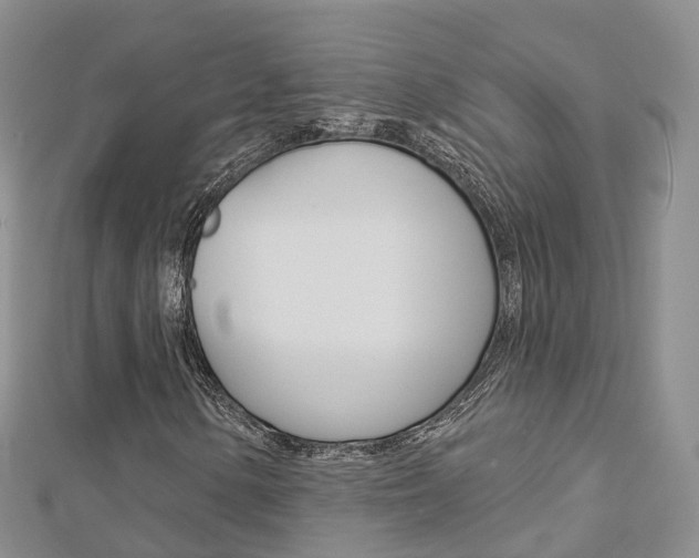 X0000112821154200908210954