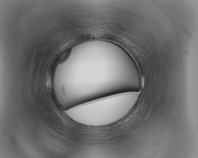 X0000112821155200908210954