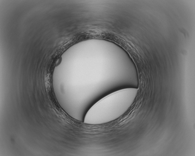 X0000112821156200908210954