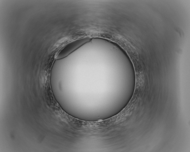X0000112821157200908210954