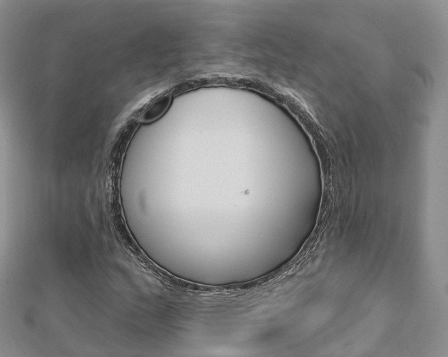 X0000112821159200908210954