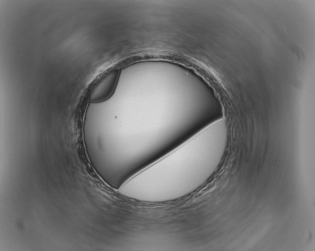 X0000112821160200908210954