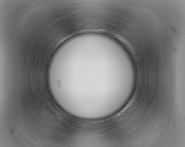 X0000112821161200908210954
