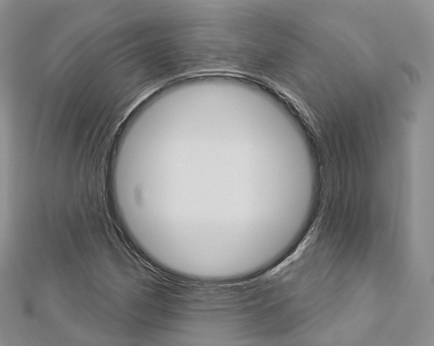 X0000112821162200908210954