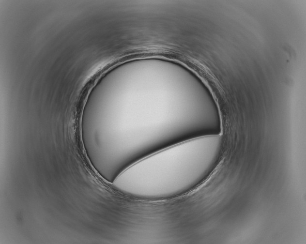 X0000112821163200908210954
