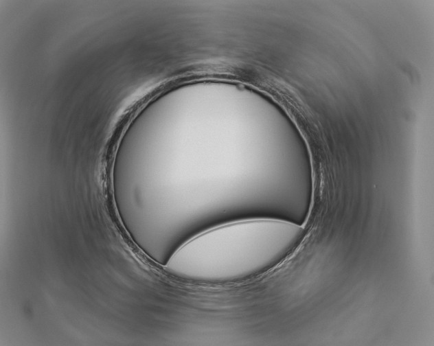 X0000112821164200908210954