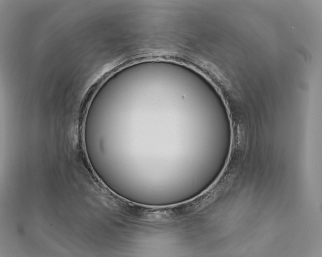 X0000112821165200908210954
