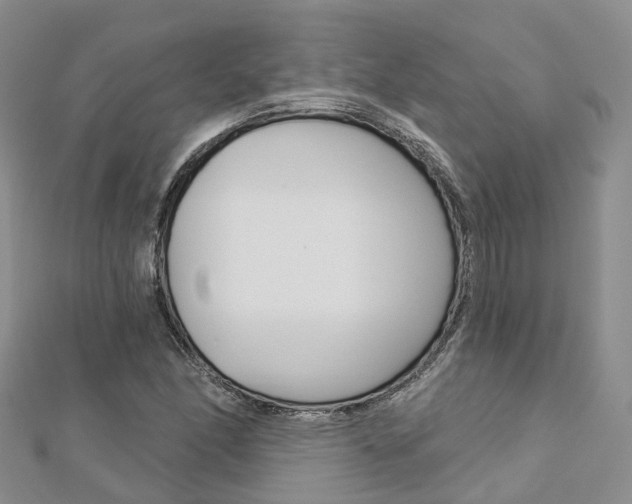 X0000112821166200908210954