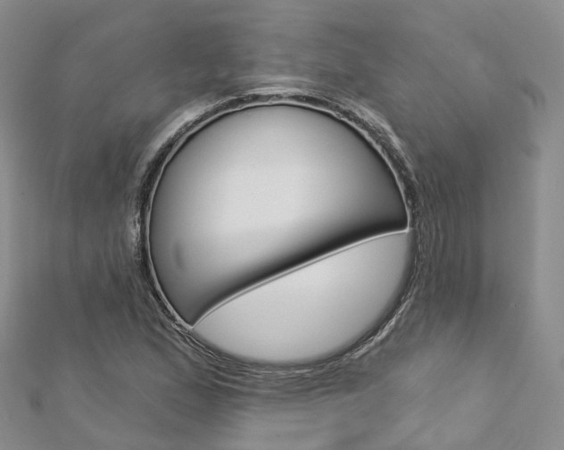 X0000112821167200908210954