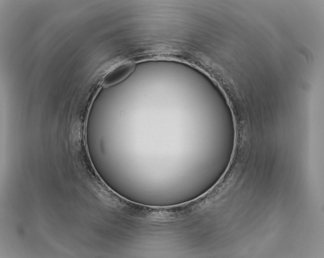 X0000112821169200908210954