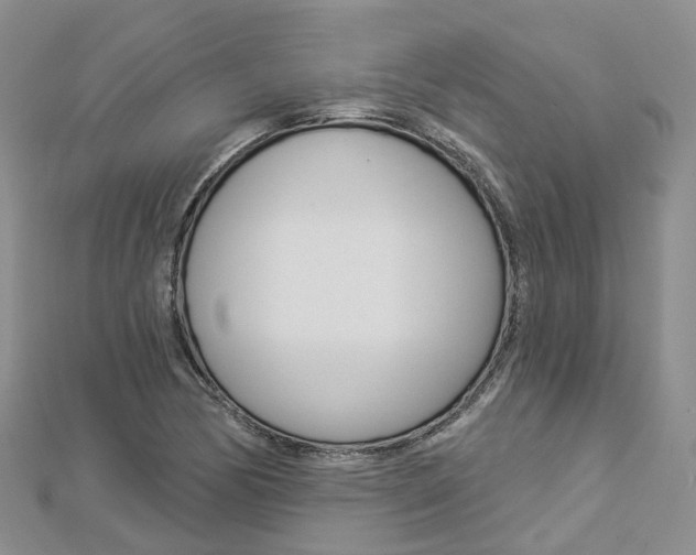 X0000112821170200908210954