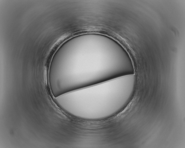 X0000112821171200908210954