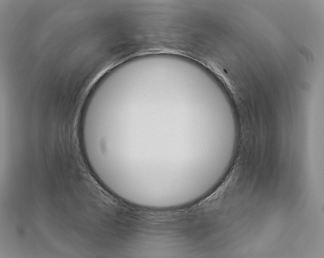 X0000112821173200908210954