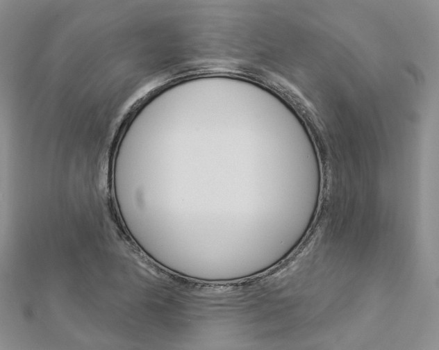 X0000112821174200908210954
