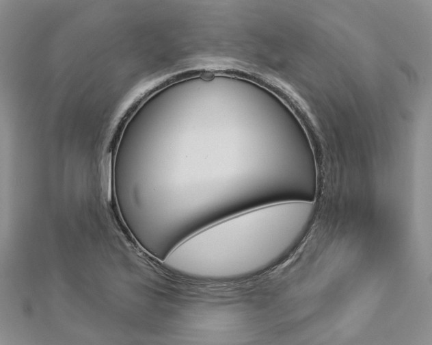 X0000112821175200908210954