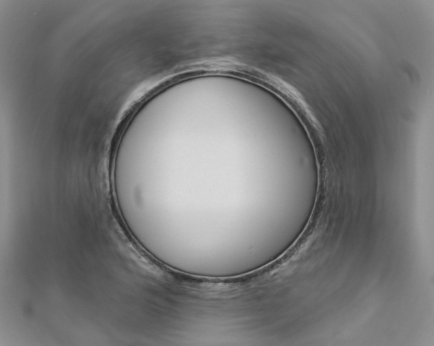 X0000112821176200908210954