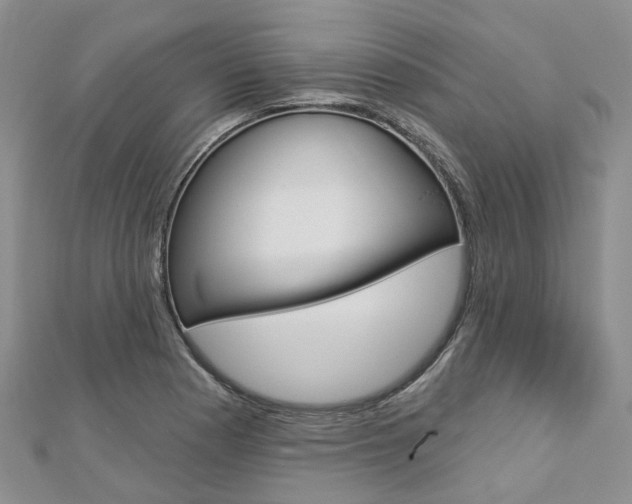 X0000112821177200908210954