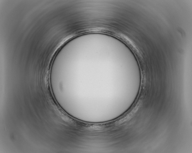 X0000112821178200908210954