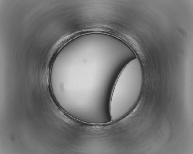 X0000112821180200908210954
