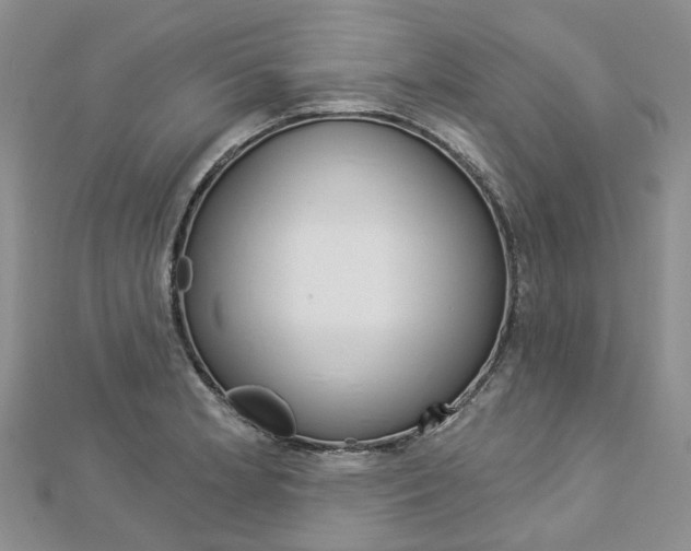 X0000112821181200908210954
