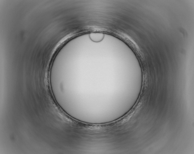 X0000112821182200908210954