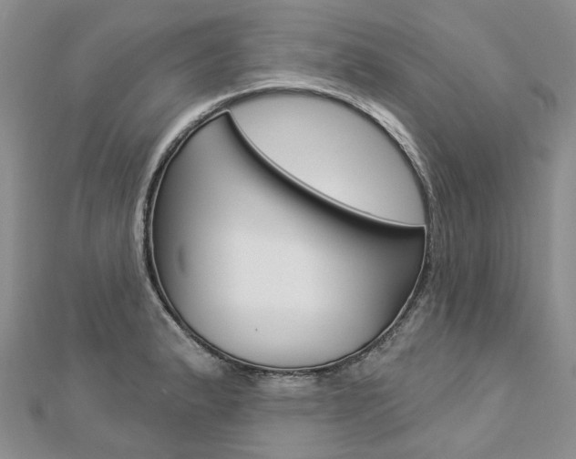 X0000112821183200908210954