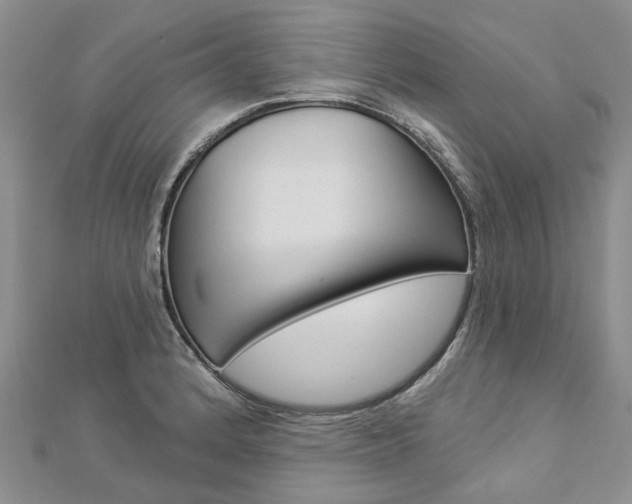 X0000112821184200908210954
