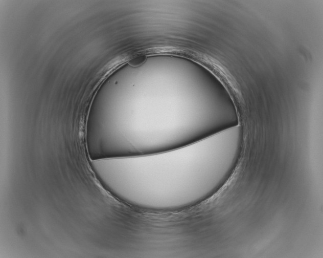 X0000112821185200908210954
