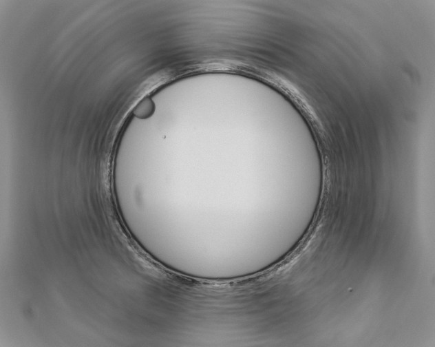 X0000112821186200908210954