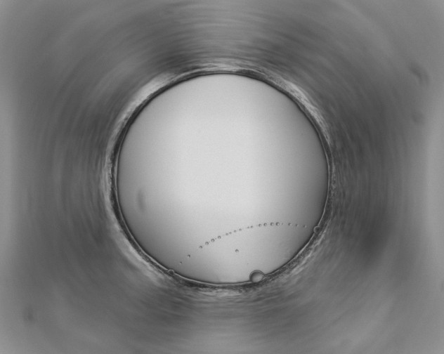 X0000112821187200908210954
