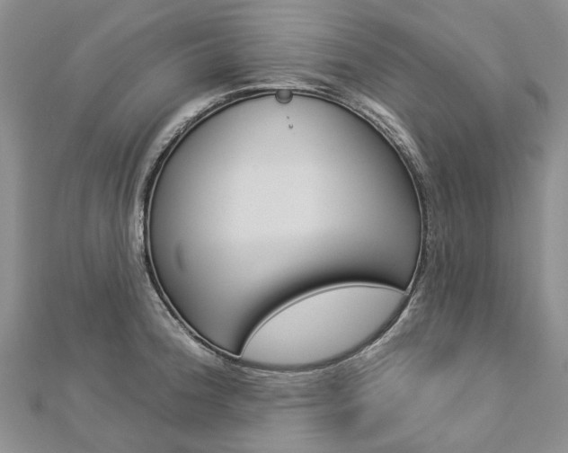 X0000112821188200908210954