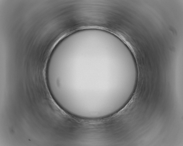X0000112821189200908210954