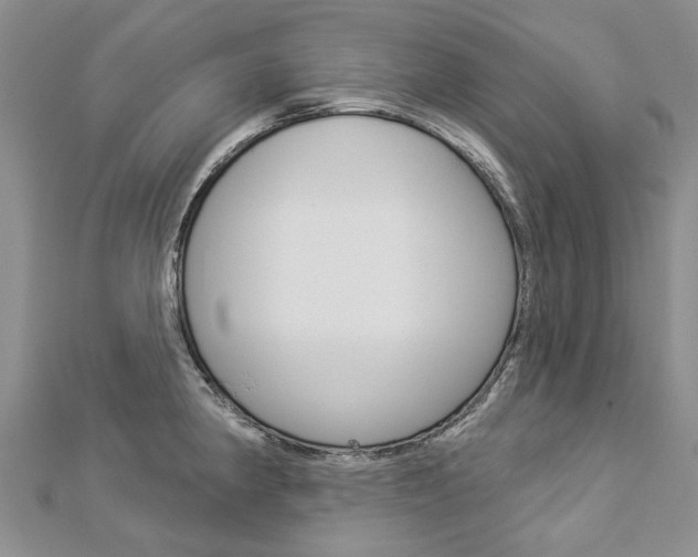 X0000112821190200908210954