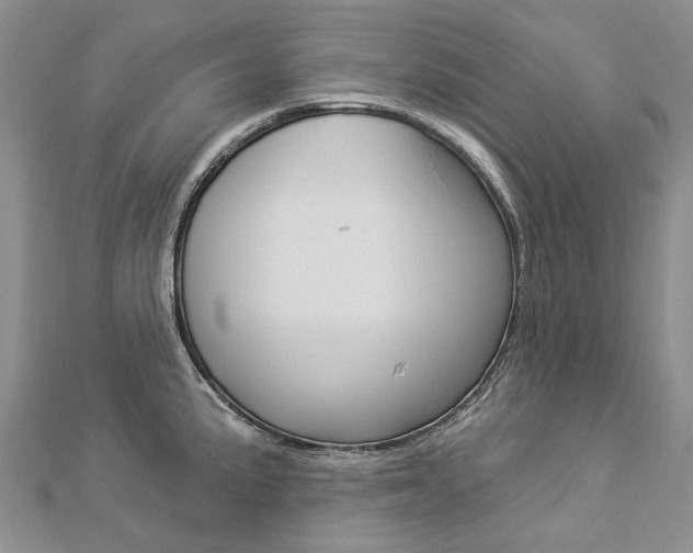 X0000112821191200908210954
