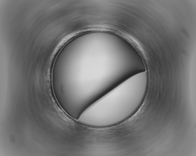 X0000112821192200908210954