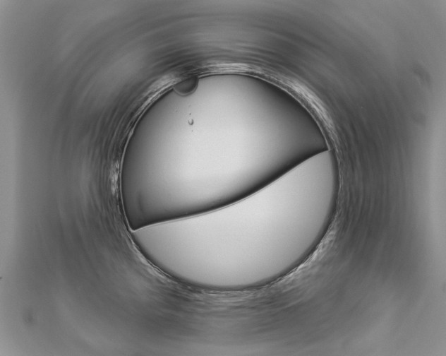X0000112821193200908210954