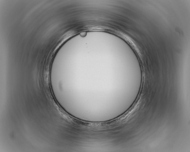 X0000112821194200908210954