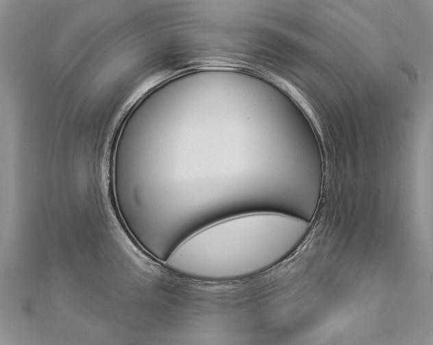 X0000112821195200908210954
