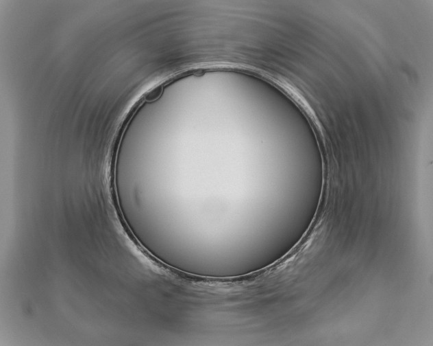 X0000112821197200908210954