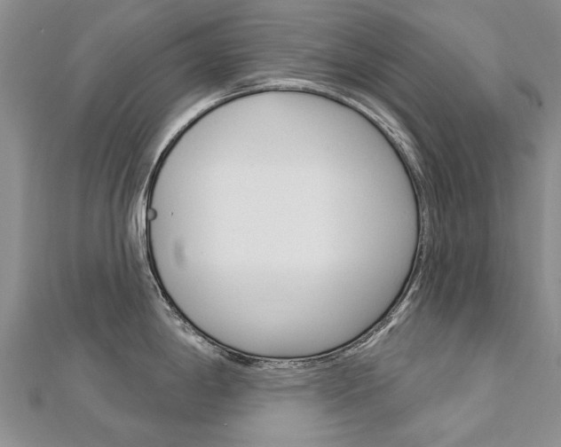 X0000112821198200908210954